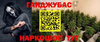 PSILOCYBIN Владикавказ