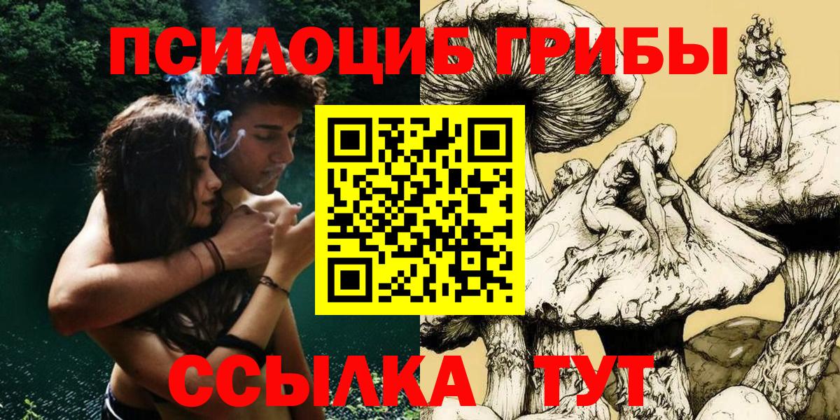 Елизово  Галлюциногенные грибы прущие грибы  Вход с VPN 